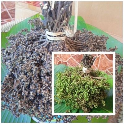 เทศบาลตำบลดอยฮาง