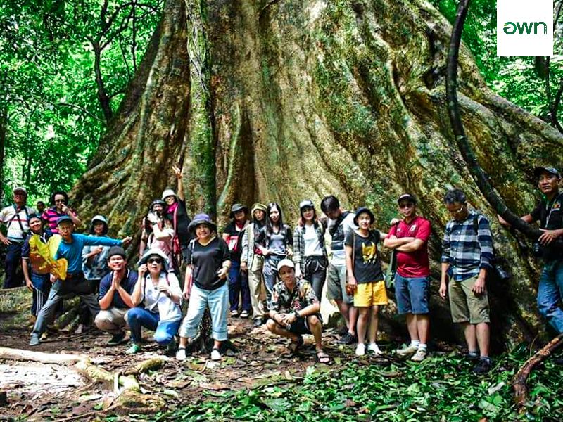 เทศบาลตำบลดอยฮาง