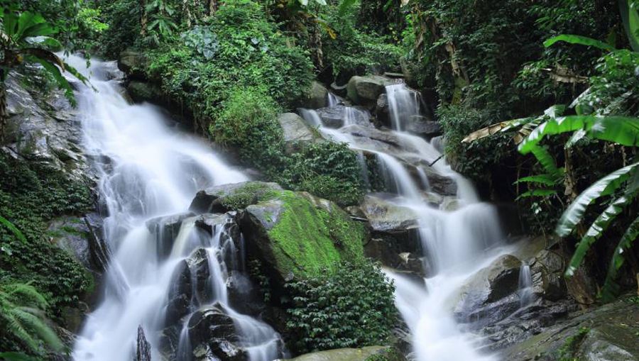 เทศบาลตำบลดอยฮาง